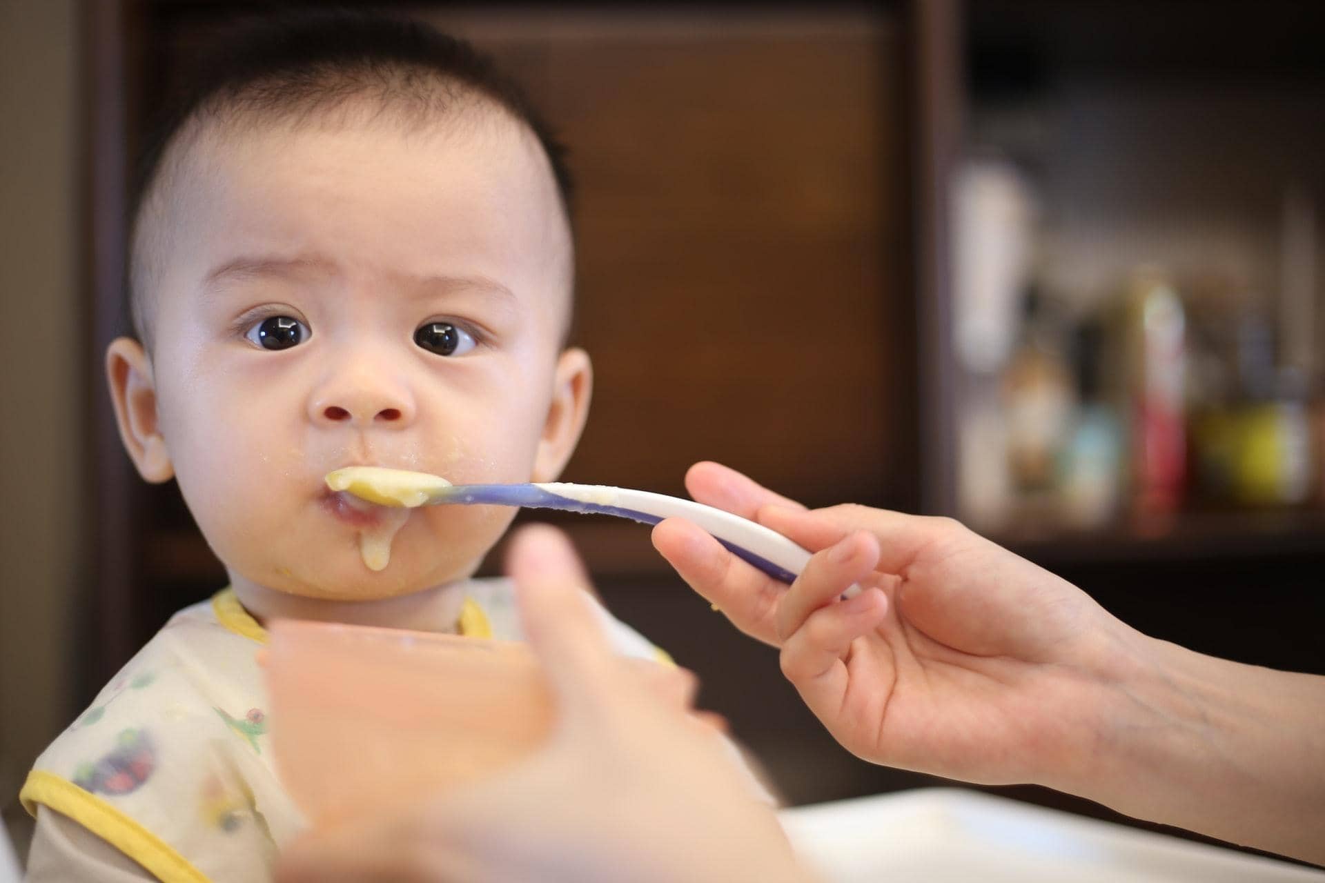 EARLY BRAIN DEVELOPMENT IMPACT OF NUTRITION IN INFANTS
